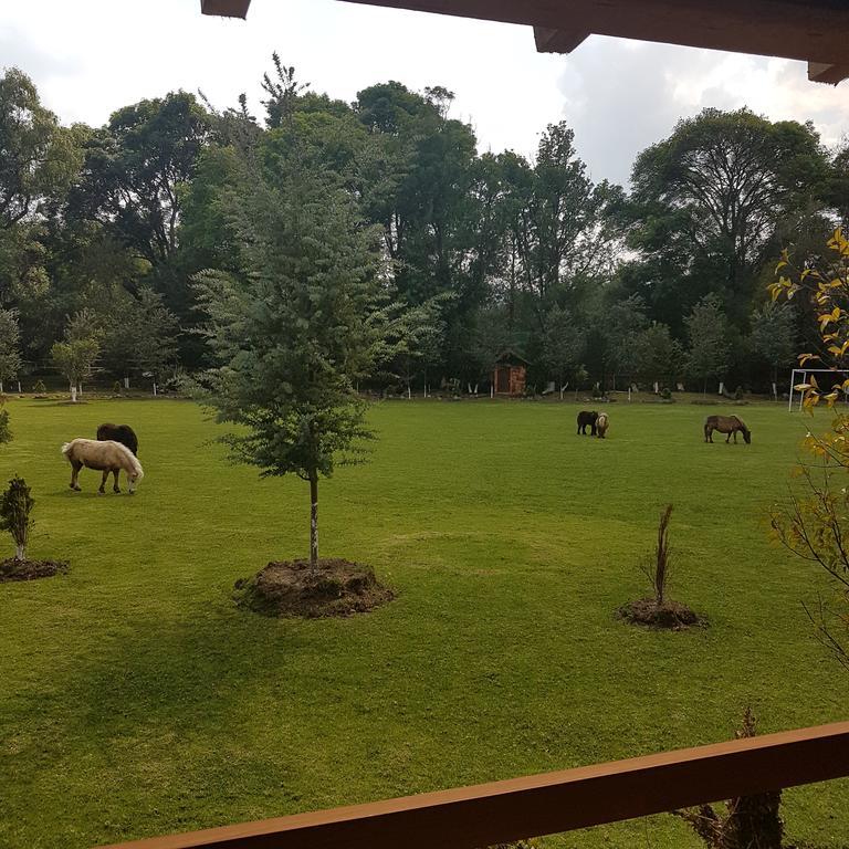 Rancho San Antonio Huasca de Ocampo Exterior foto