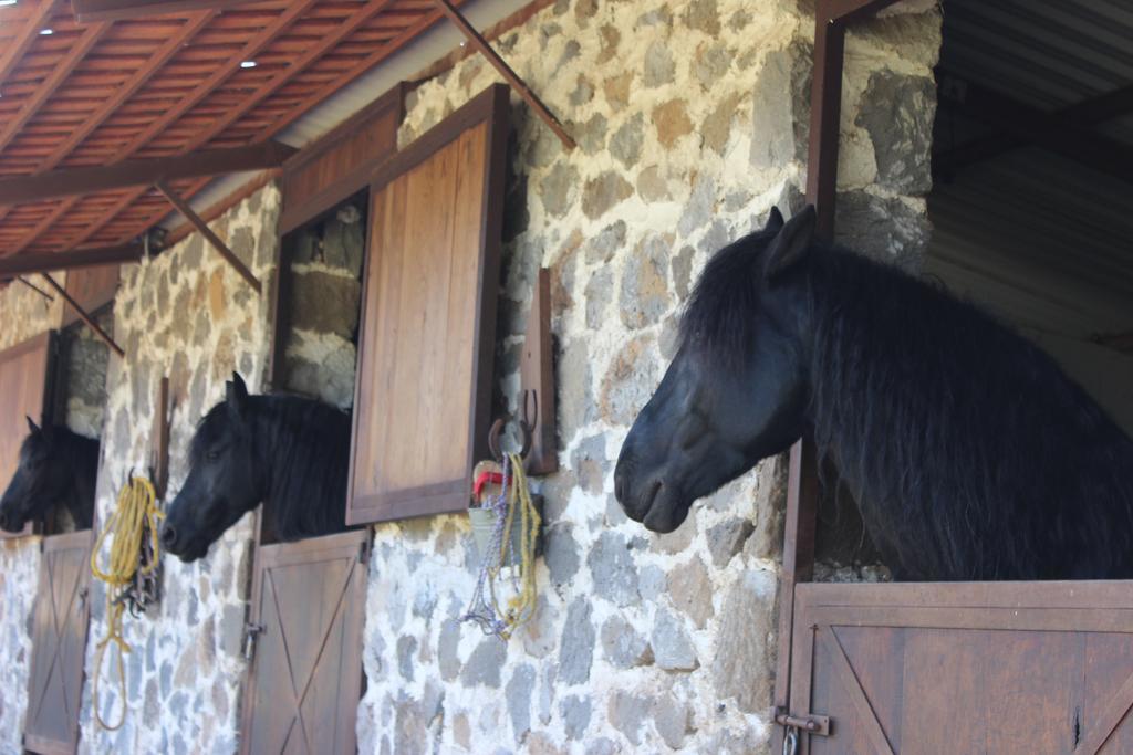Rancho San Antonio Huasca de Ocampo Exterior foto